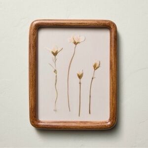 8"x10" Pressed White Flowers Framed Wall Art - Hearth & Hand with Magnolia NEW